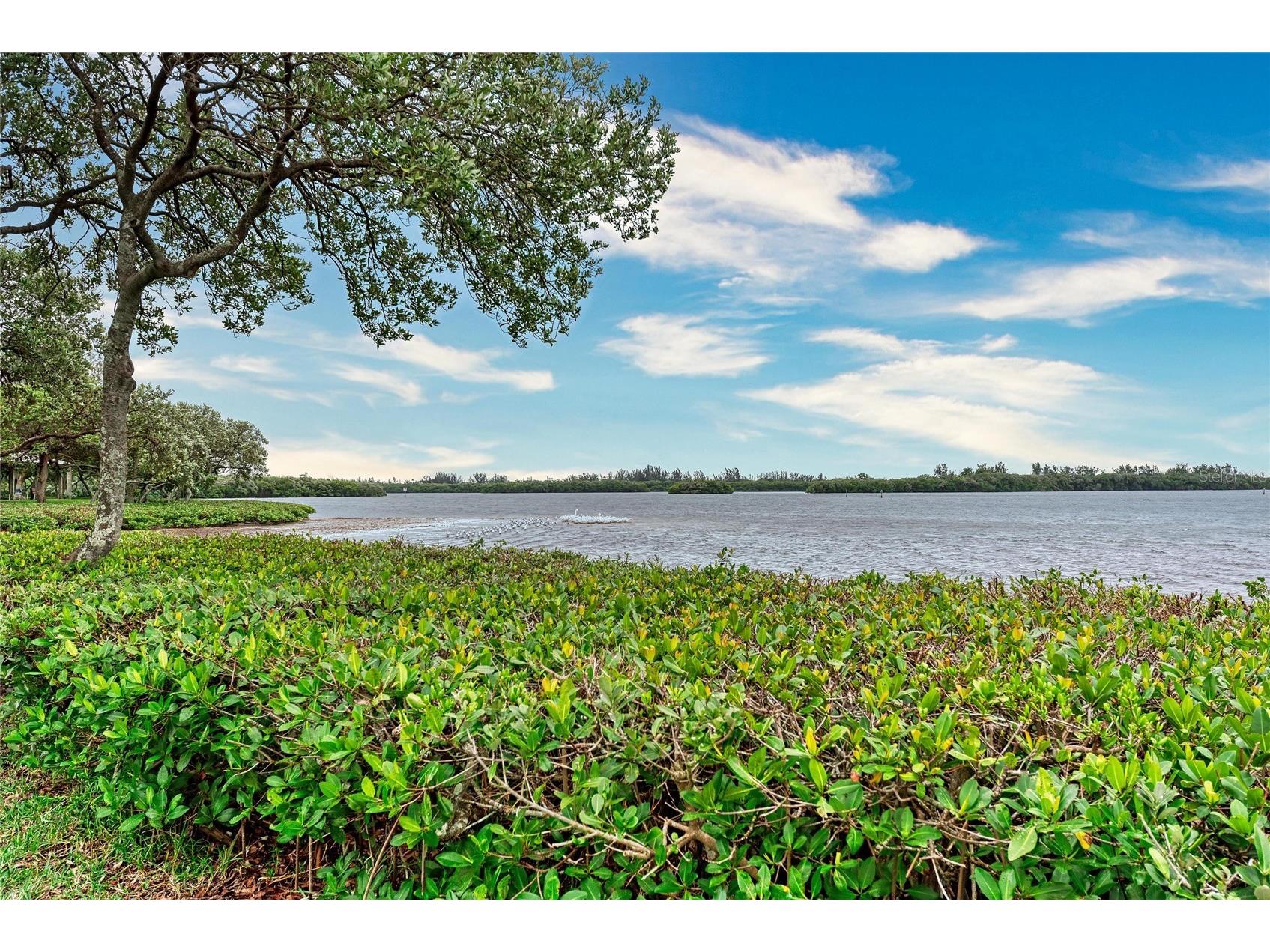 9417 Kingston Drive #9417 Bradenton FL 34210 - SARASOTA BAY INTRACOASTAL A4682266 image53