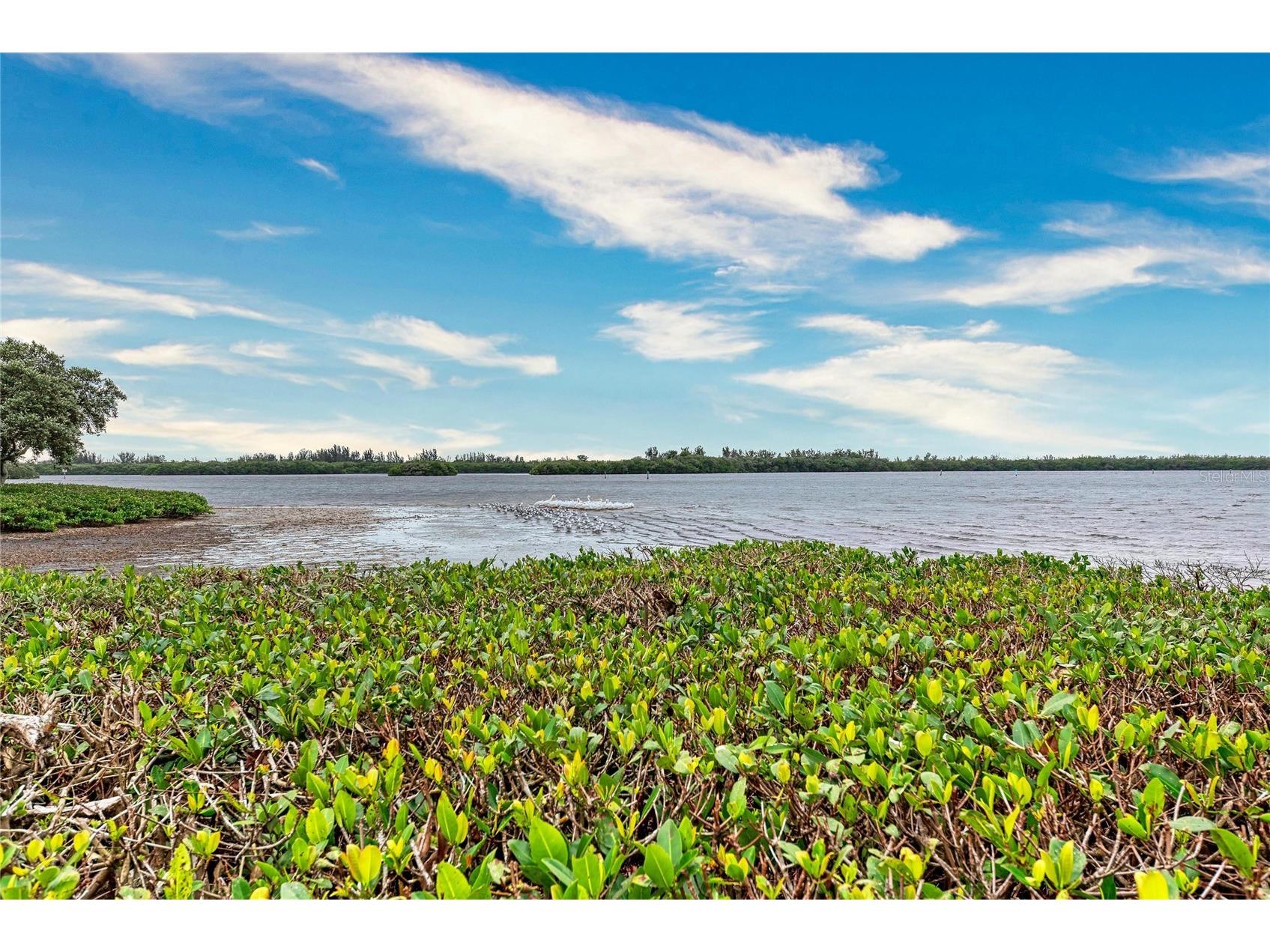 9417 Kingston Drive #9417 Bradenton FL 34210 - SARASOTA BAY INTRACOASTAL A4682266 image54