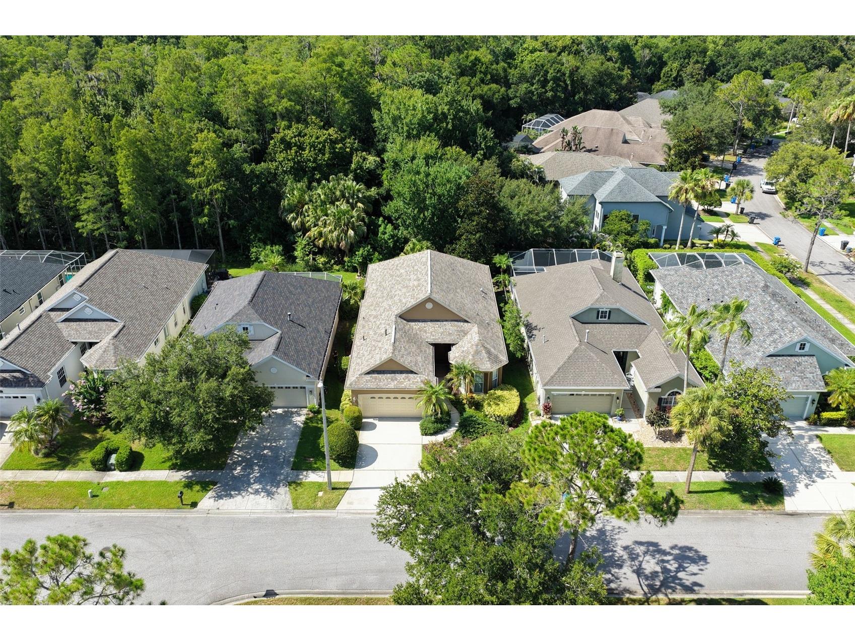 9419 Greenpointe Drive Tampa FL 33626 TB8521647 image2