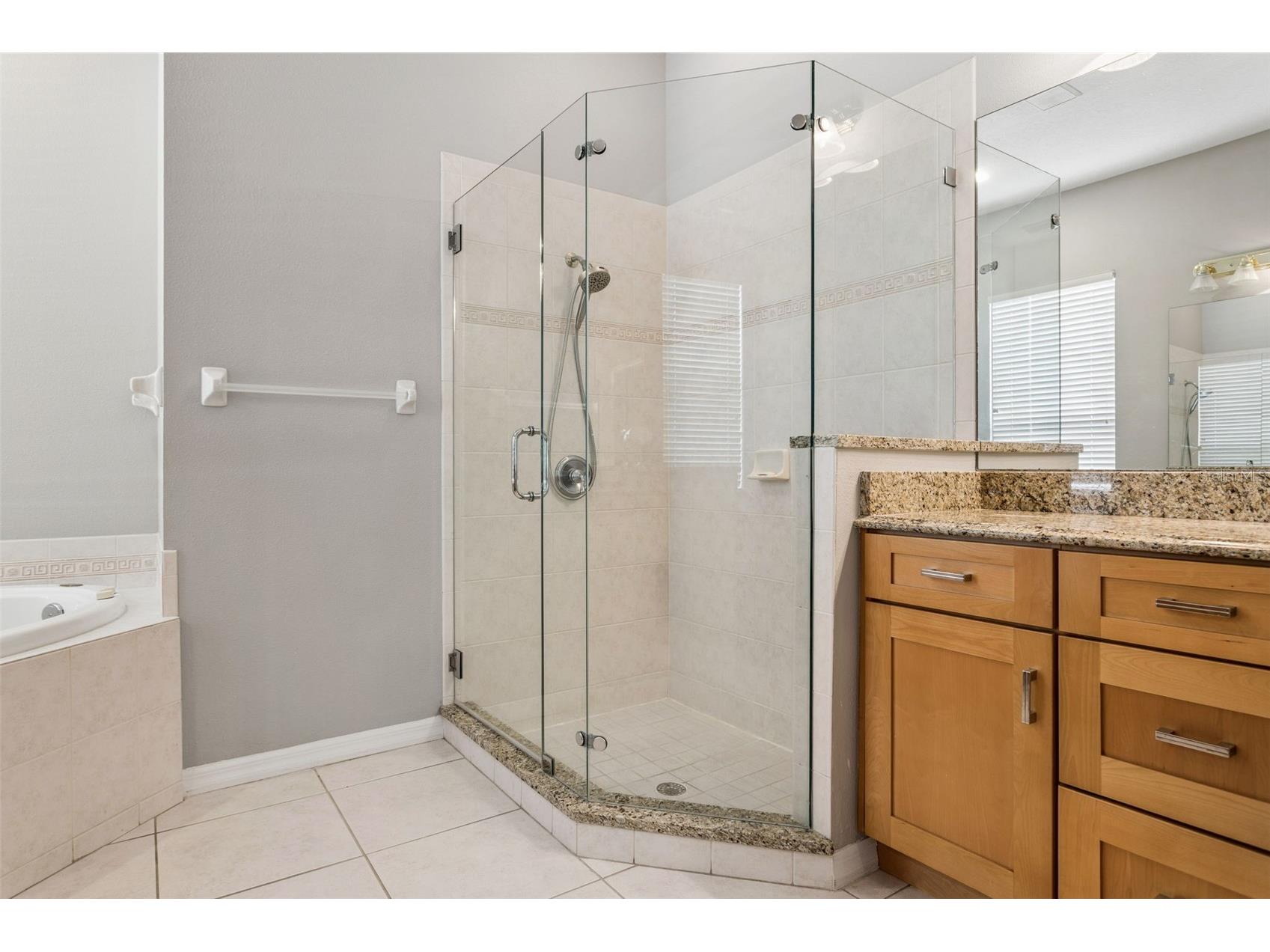 9419 Greenpointe Drive Tampa FL 33626 TB8521647 image21