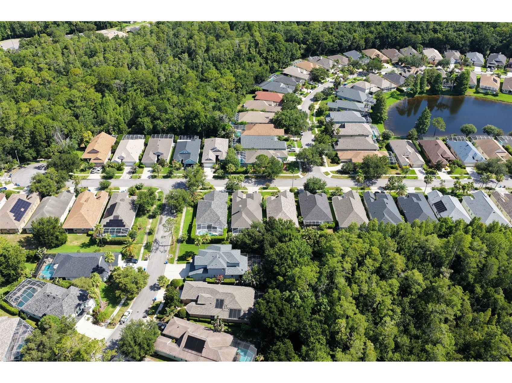 9419 Greenpointe Drive Tampa FL 33626 TB8521647 image33