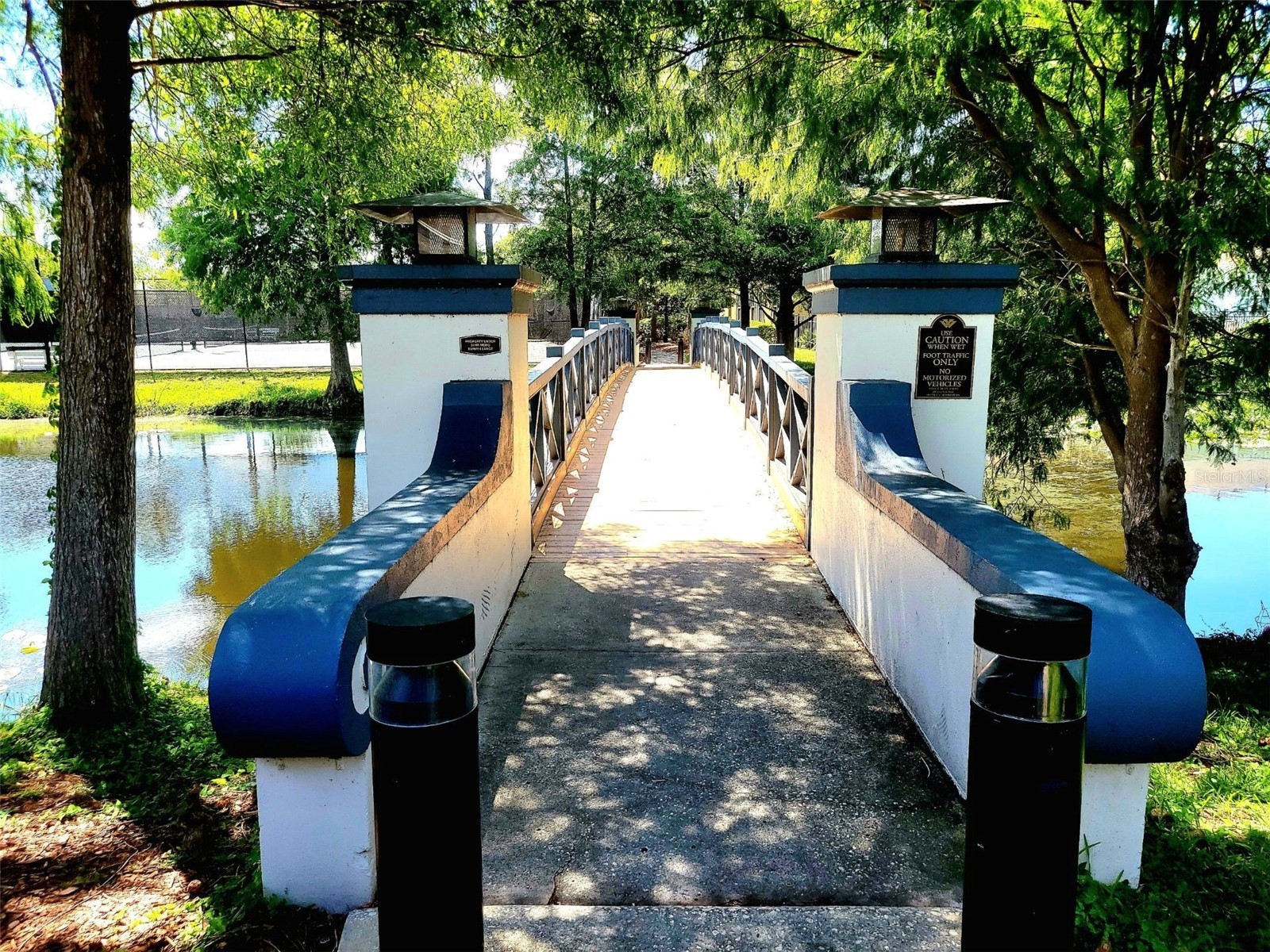 9419 Greenpointe Drive Tampa FL 33626 TB8521647 image37