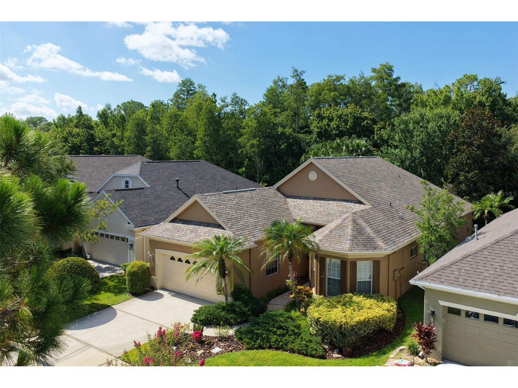9419 Greenpointe Drive Tampa FL 33626 TB8521647 image4