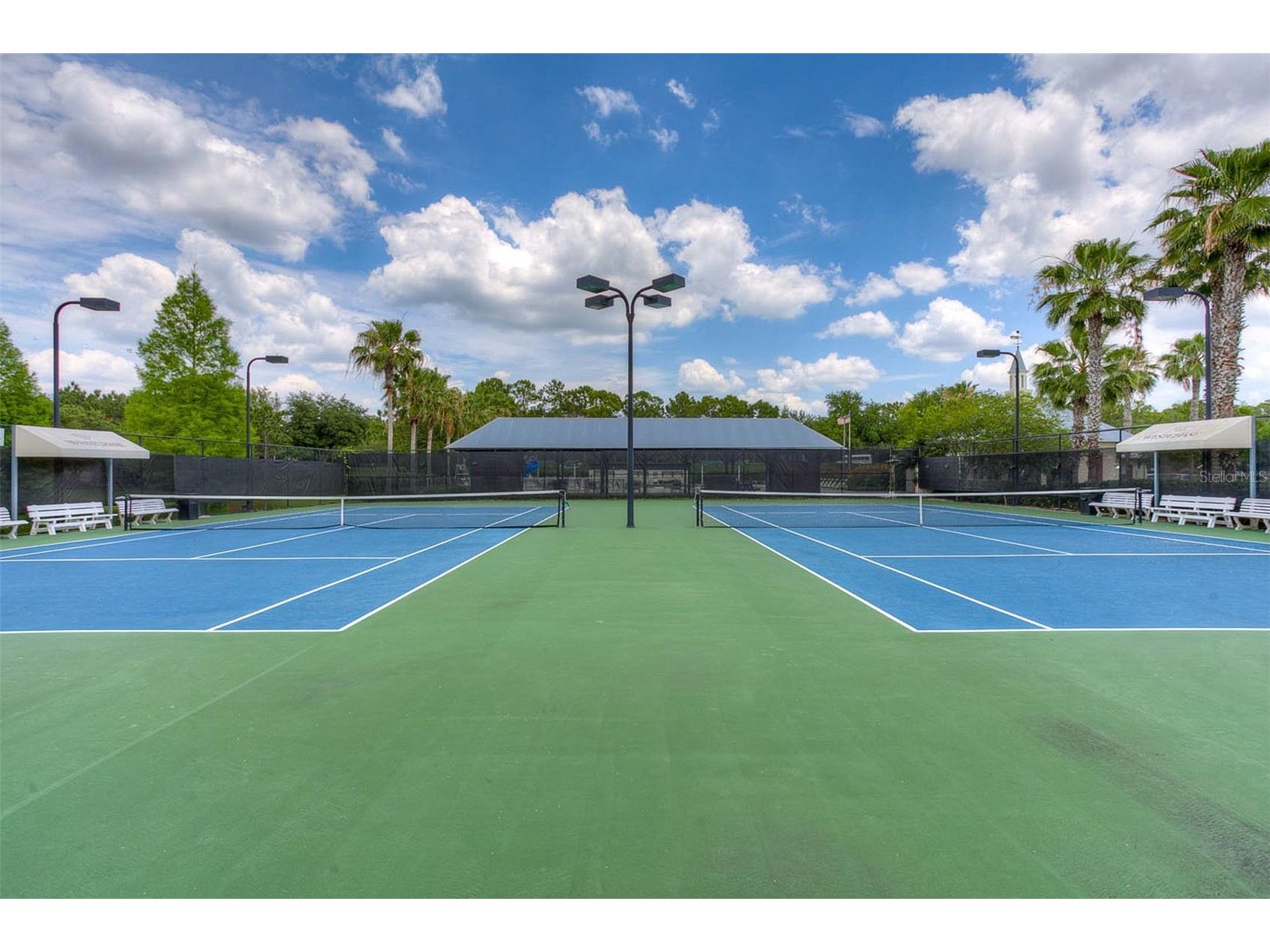 9419 Greenpointe Drive Tampa FL 33626 TB8521647 image54