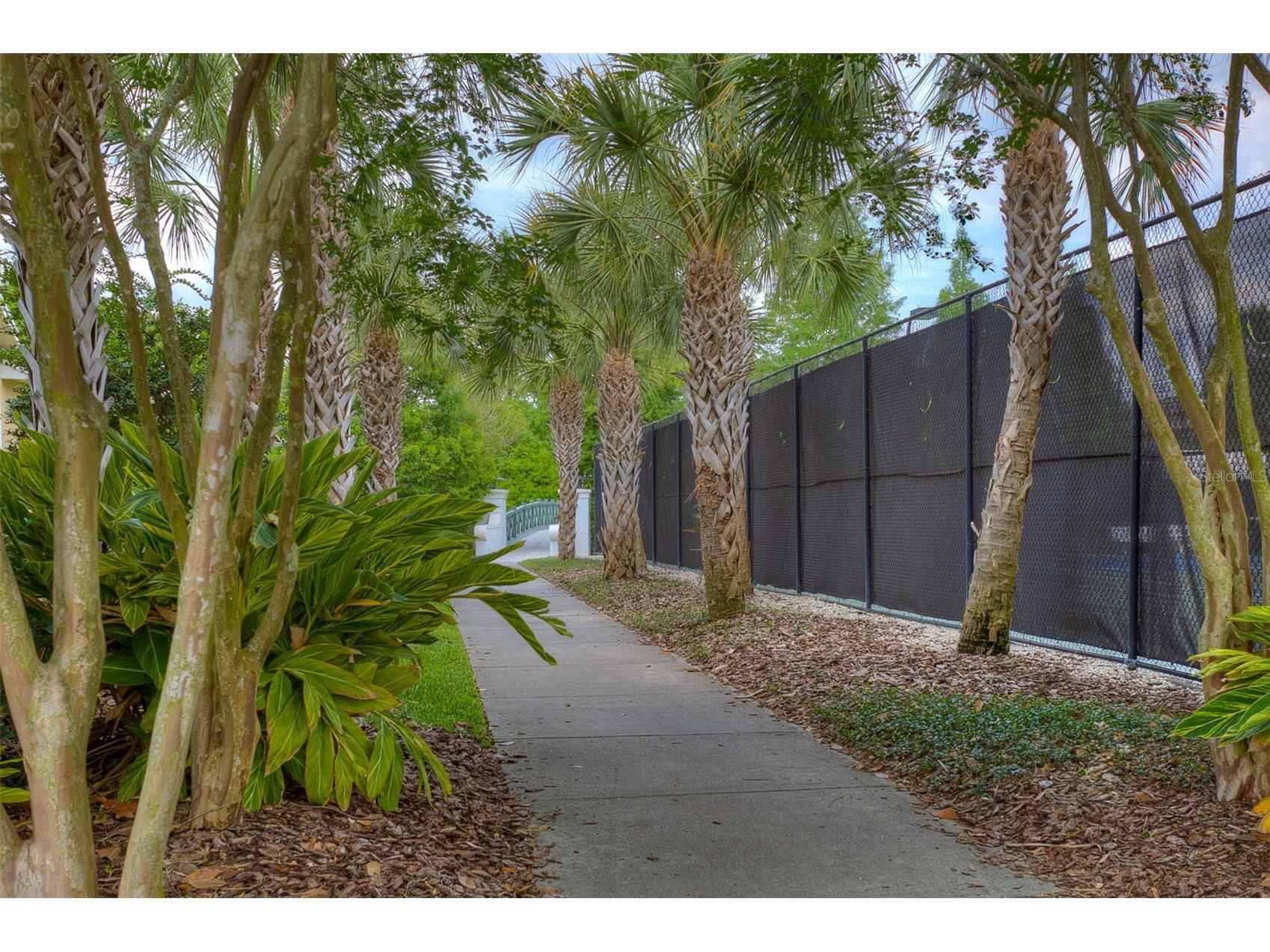 9419 Greenpointe Drive Tampa FL 33626 TB8521647 image56