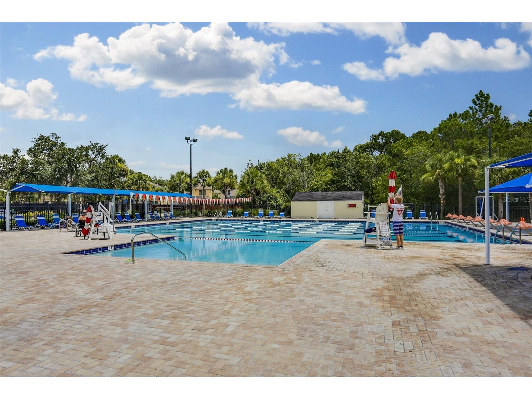 9419 Greenpointe Drive Tampa FL 33626 TB8521647 image60