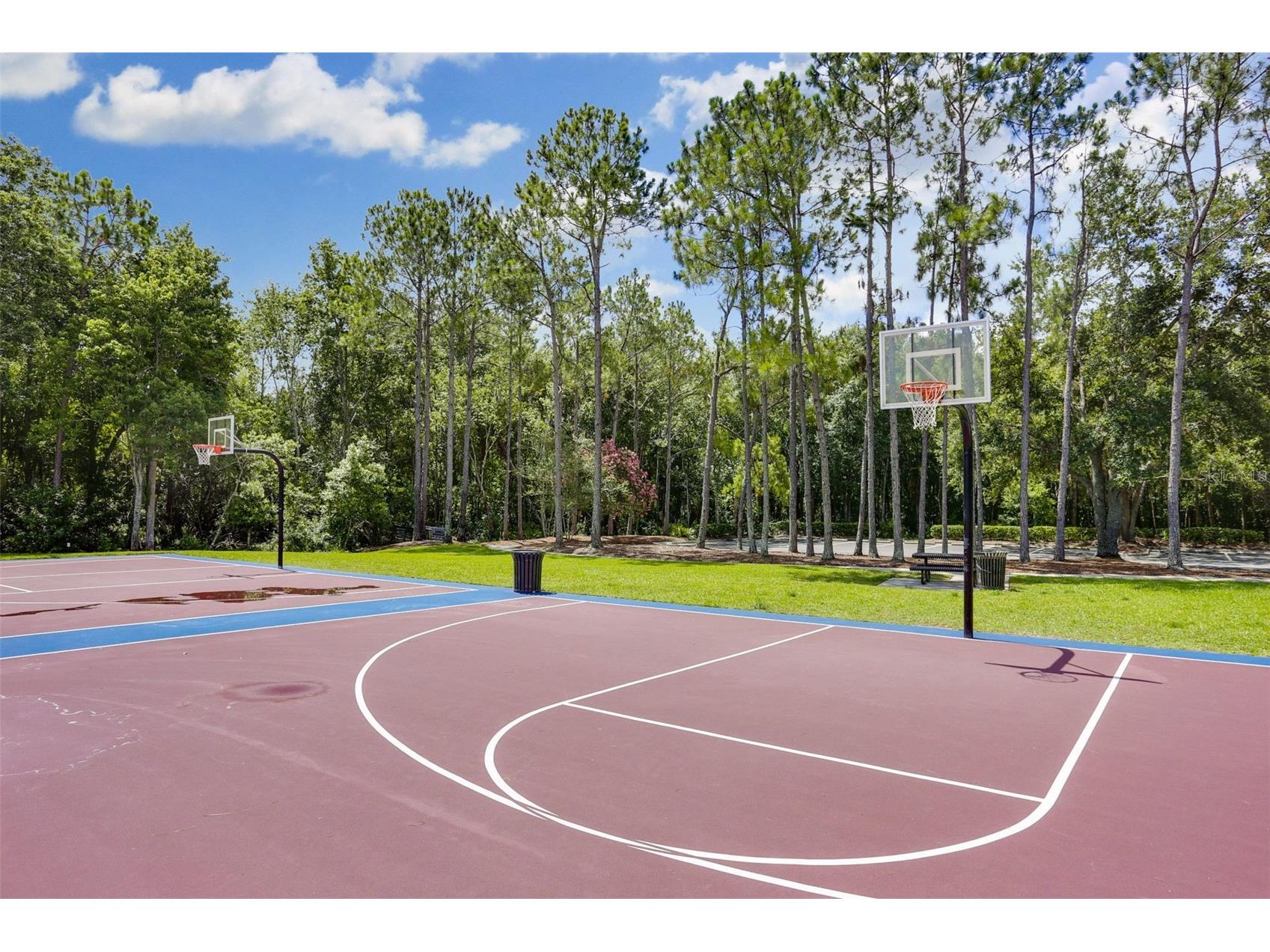 9419 Greenpointe Drive Tampa FL 33626 TB8521647 image66