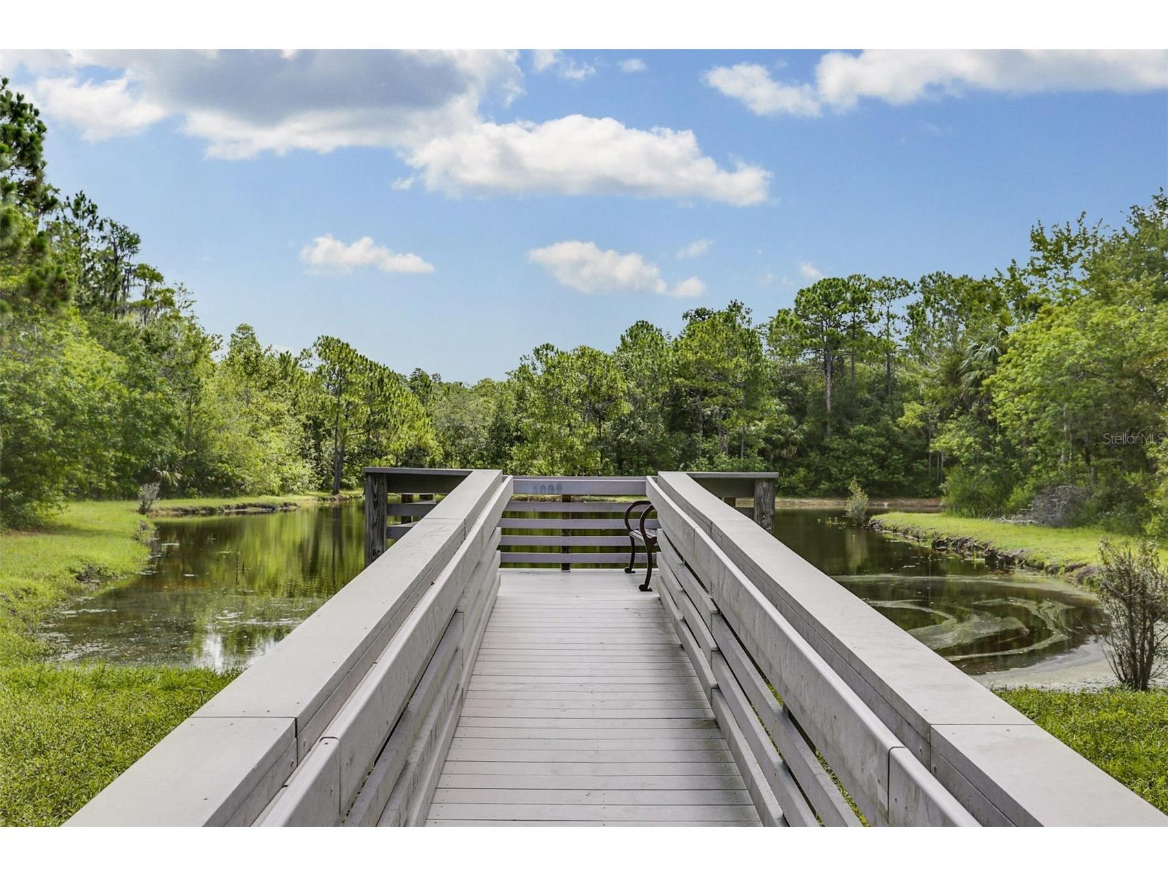 9419 Greenpointe Drive Tampa FL 33626 TB8521647 image69
