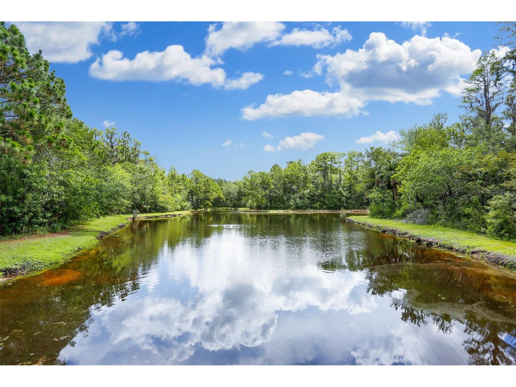 9419 Greenpointe Drive Tampa FL 33626 TB8521647 image70