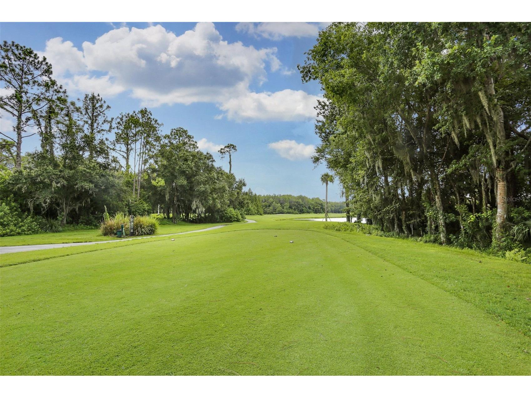 9419 Greenpointe Drive Tampa FL 33626 TB8521647 image74