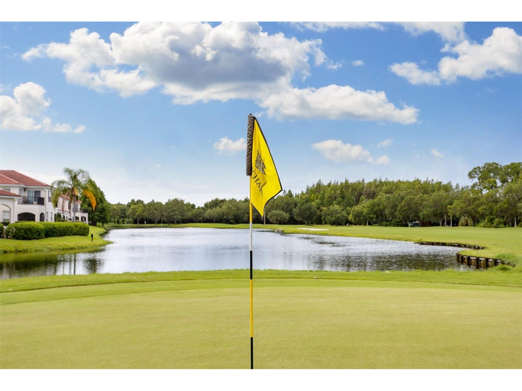 9419 Greenpointe Drive Tampa FL 33626 TB8521647 image75