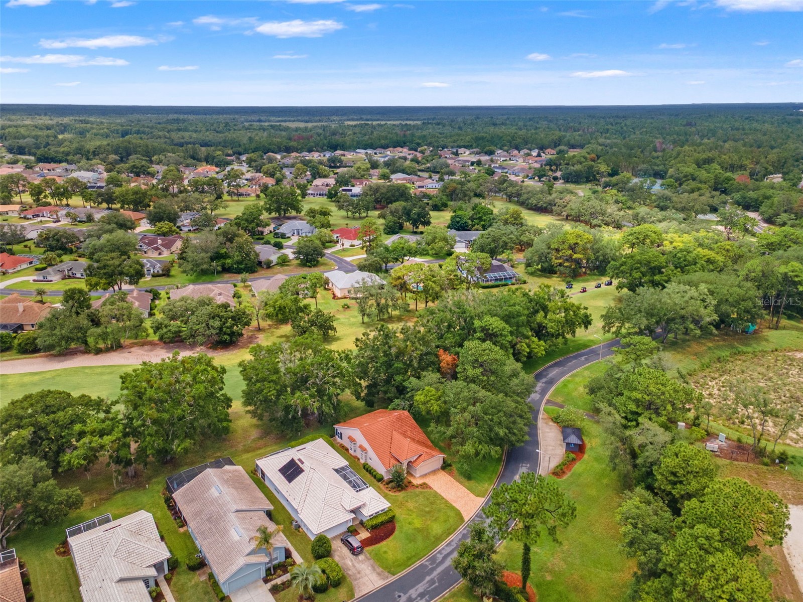 9419 New Orleans Drive Weeki Wachee FL 34613 TB8518441 image44