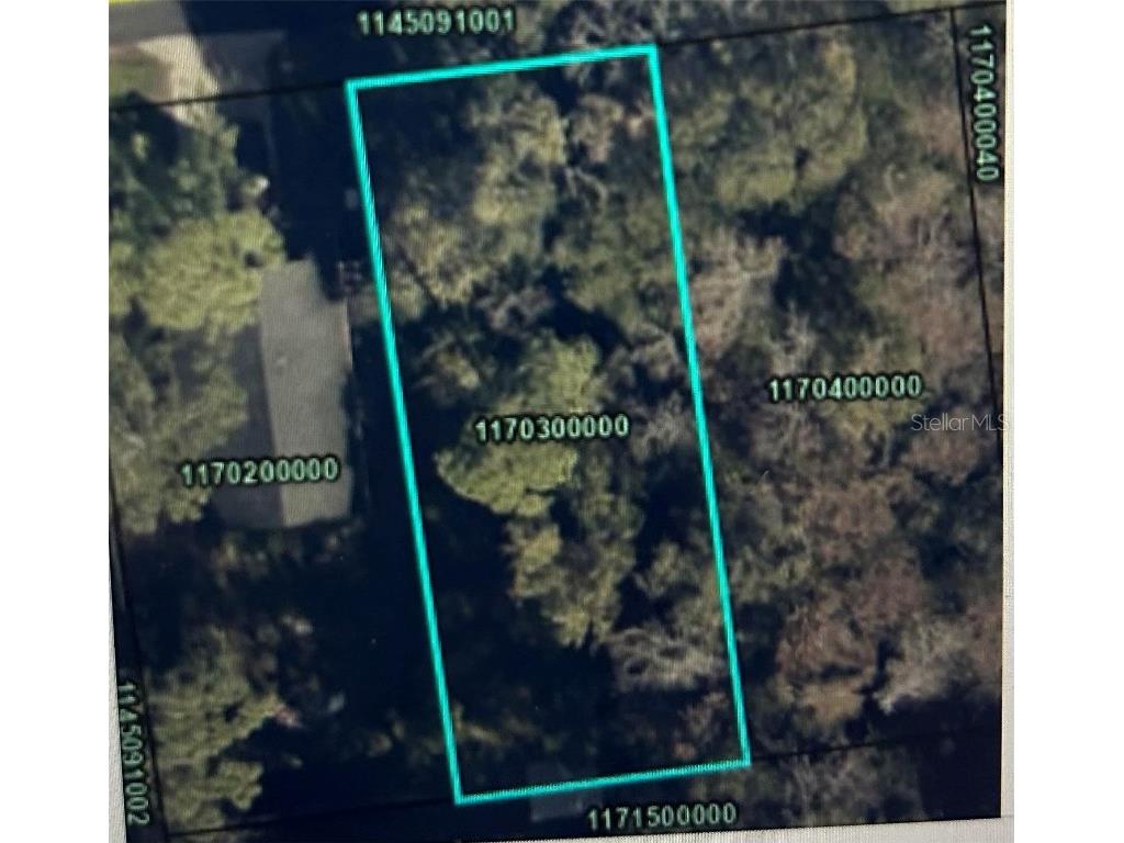 942 Bruen Street Saint Augustine FL 32084 O6268348 image1