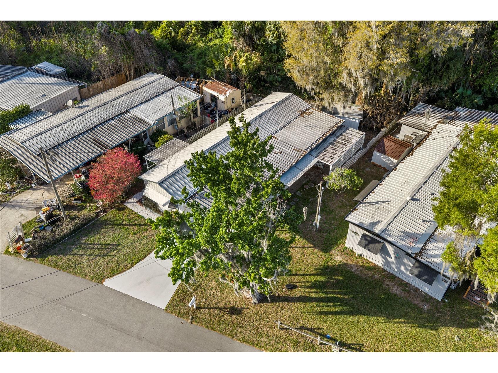 942 Cr 461 Lake Panasoffkee FL 33538 OM720891 image43