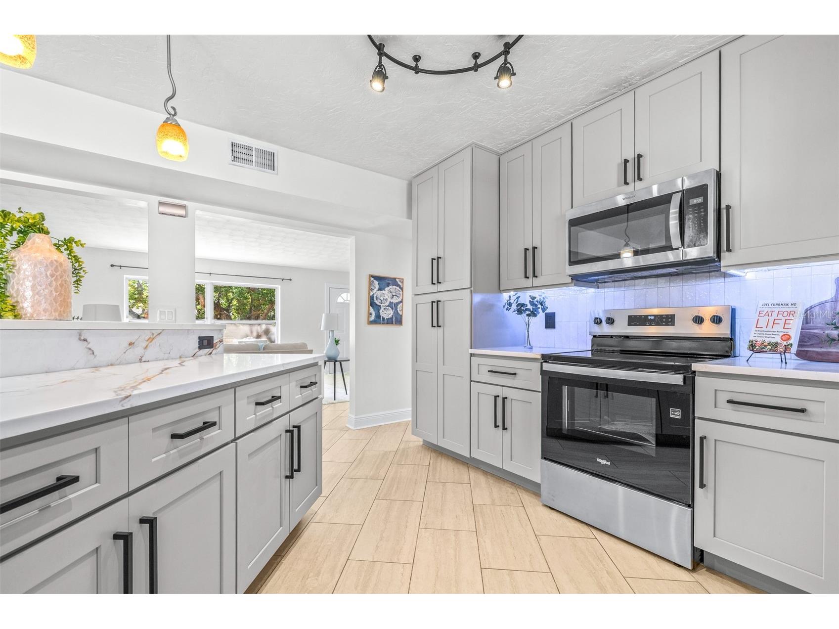 942 Dumont Drive Dunedin FL 34698 TB8507684 image28