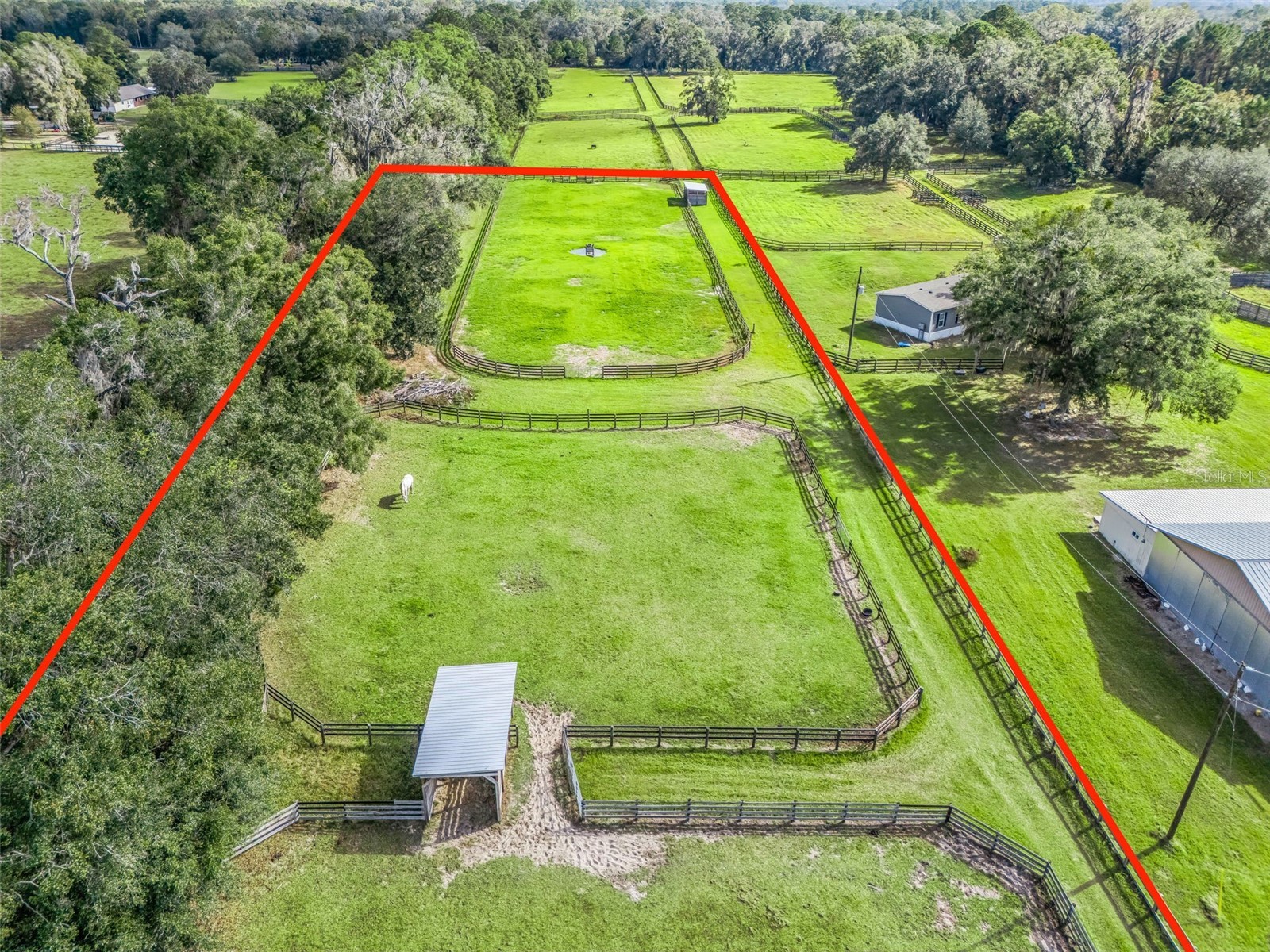 9420 NW 125th Avenue Ocala FL 34482 OM717422 image4