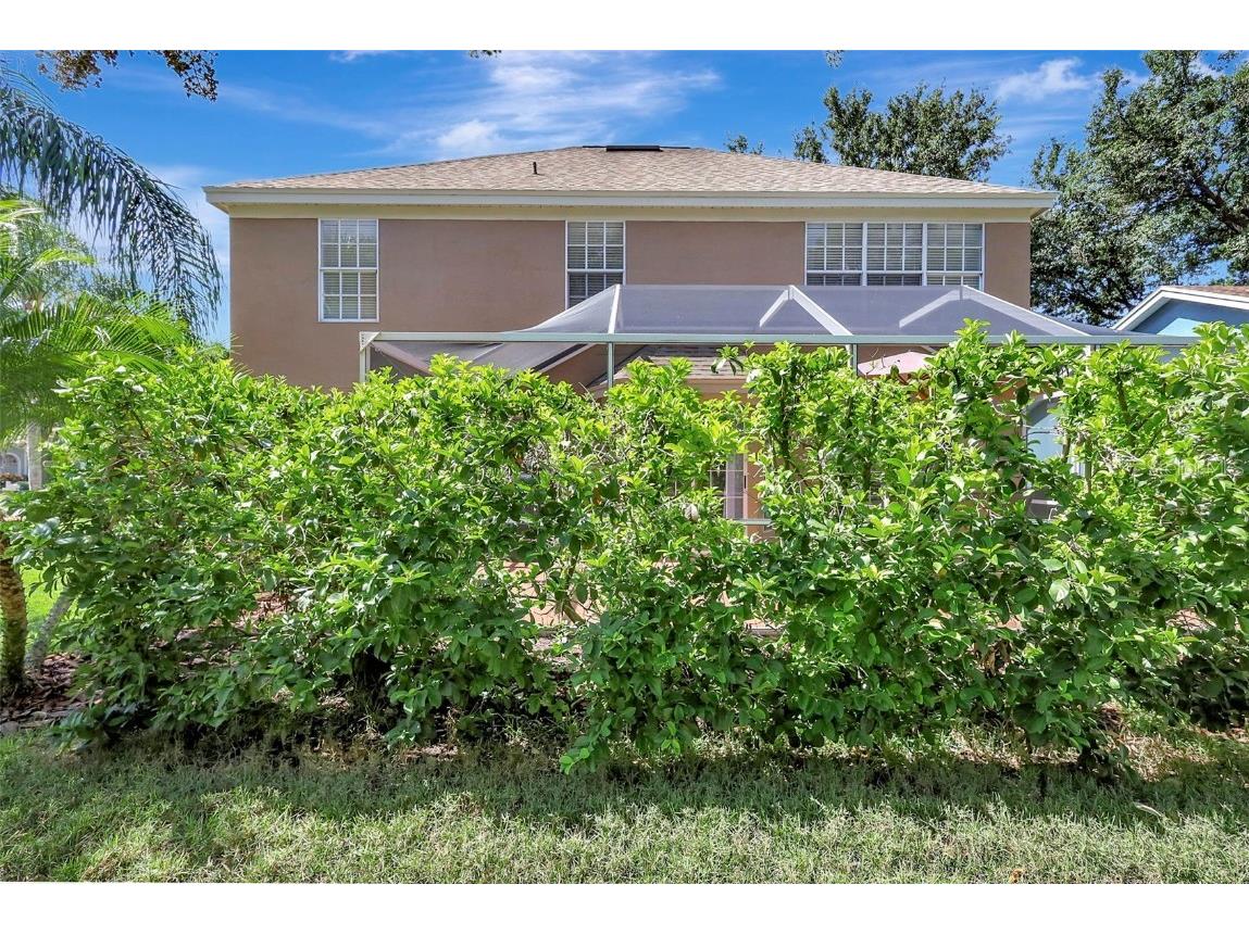 9422 Oak Meadow Court Tampa FL 33647 TB8408139 image38