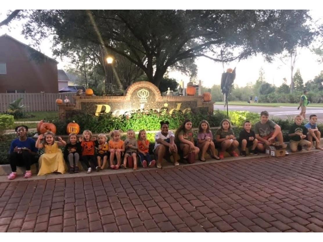 9422 Oak Meadow Court Tampa FL 33647 TB8408139 image44