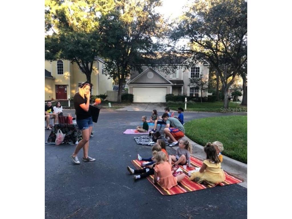 9422 Oak Meadow Court Tampa FL 33647 TB8408139 image45