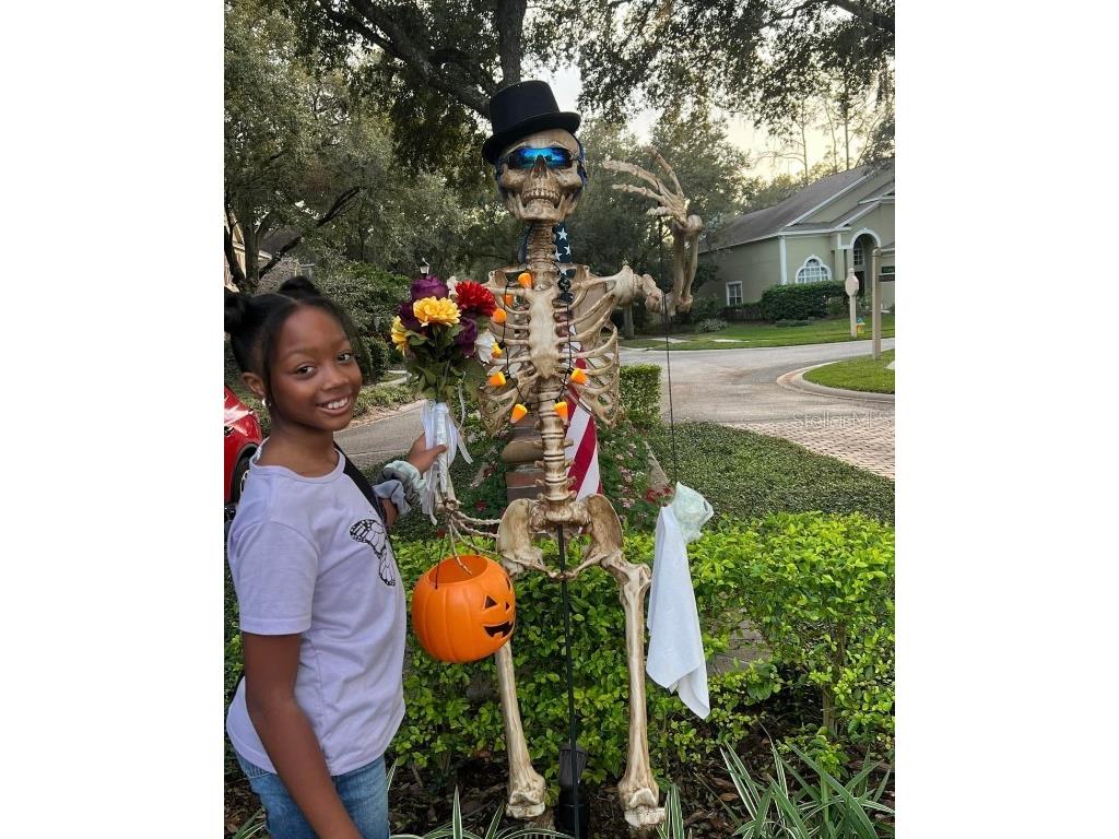 9422 Oak Meadow Court Tampa FL 33647 TB8408139 image46