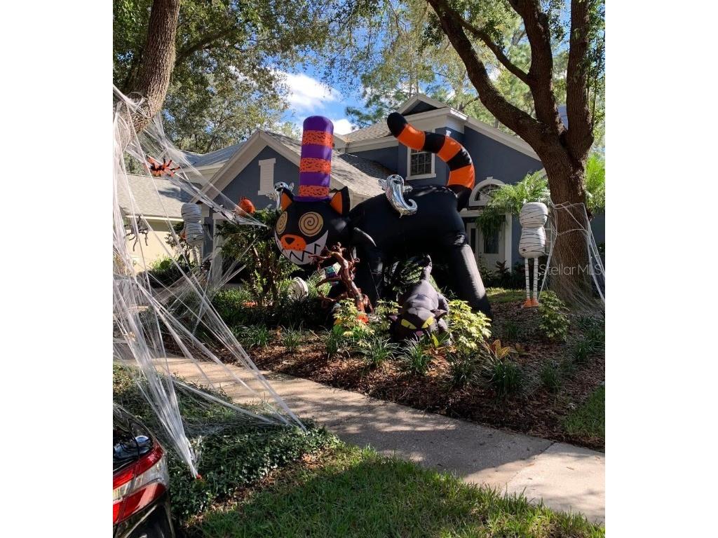 9422 Oak Meadow Court Tampa FL 33647 TB8408139 image47