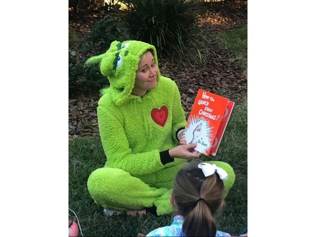 9422 Oak Meadow Court Tampa FL 33647 TB8408139 image48