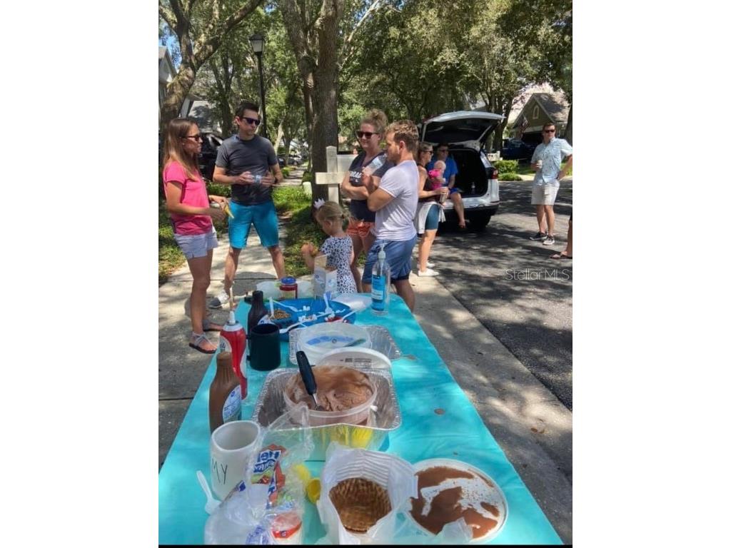 9422 Oak Meadow Court Tampa FL 33647 TB8408139 image51