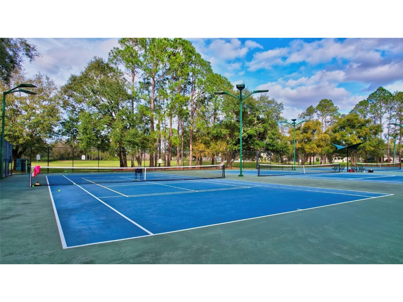 9422 Oak Meadow Court Tampa FL 33647 TB8408139 image54