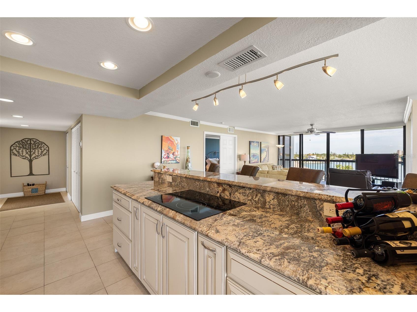 9425 Blind Pass Road #408 Saint Pete Beach FL 33706 TB8518404 image6