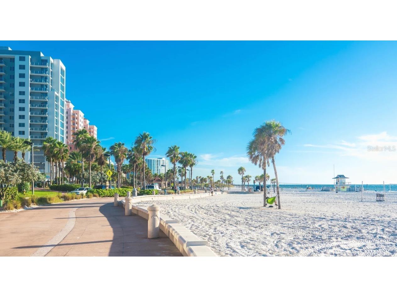 9427 Lakeview Court Spring Hill FL 34608 O6330044 image23