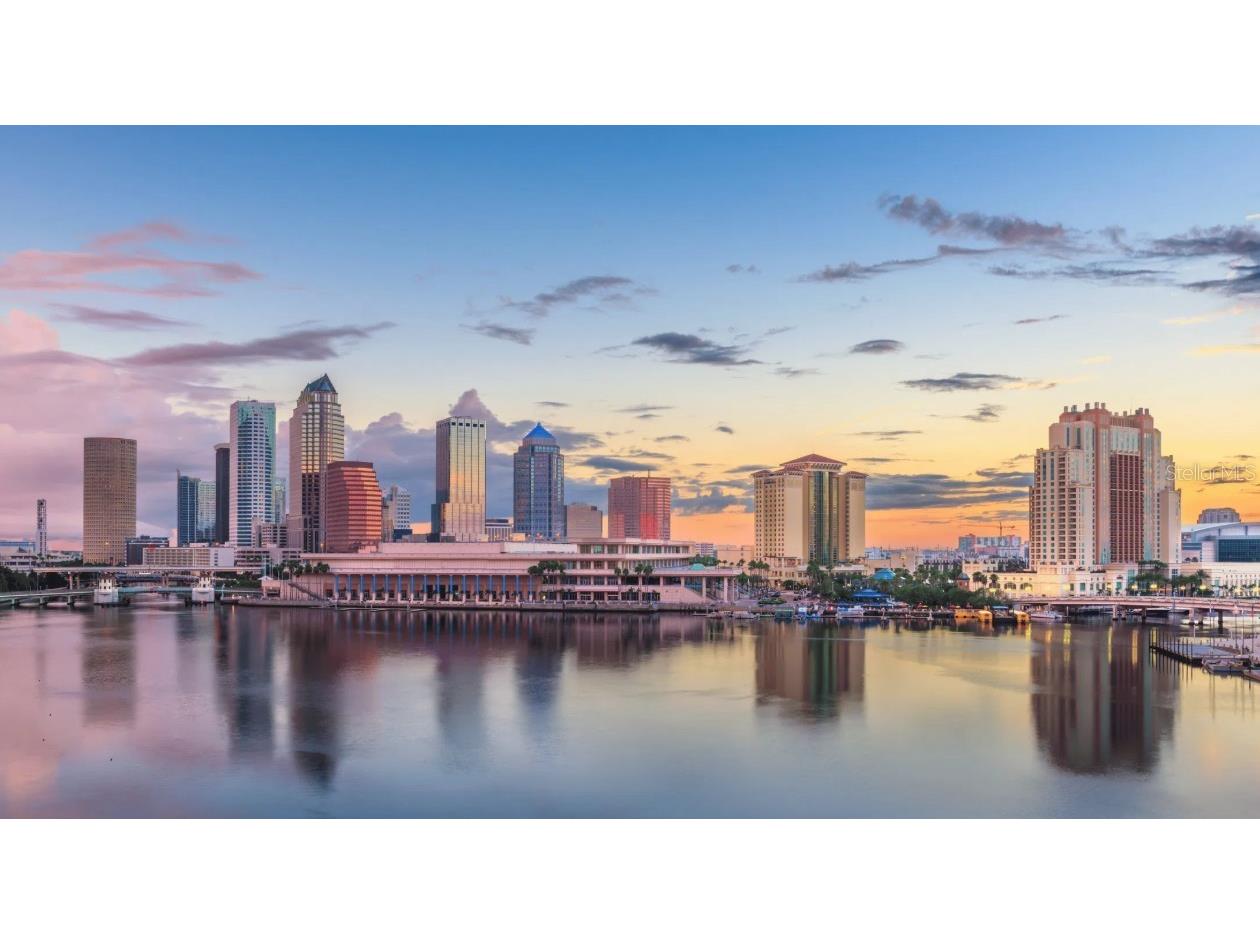 9427 Lakeview Court Spring Hill FL 34608 O6330044 image40