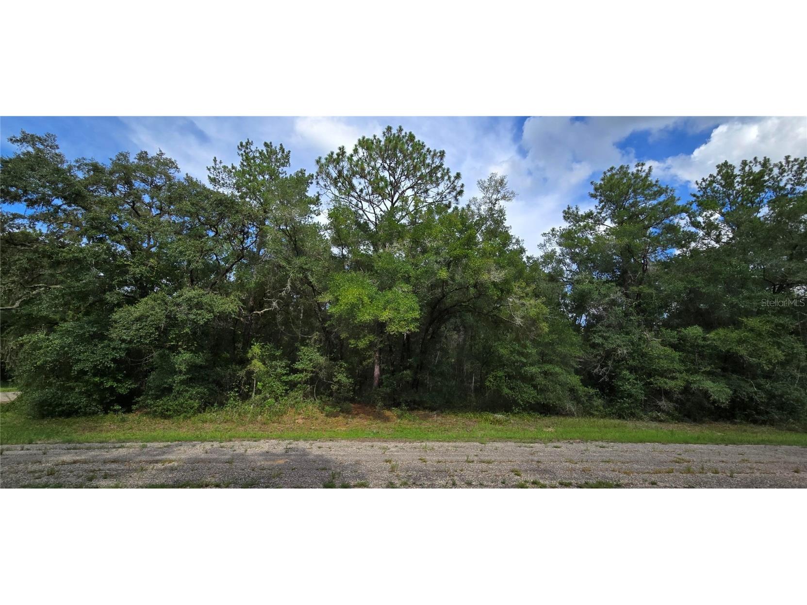 9427 N Lampson Terrace Dunnellon FL 34434 W7878202 image1