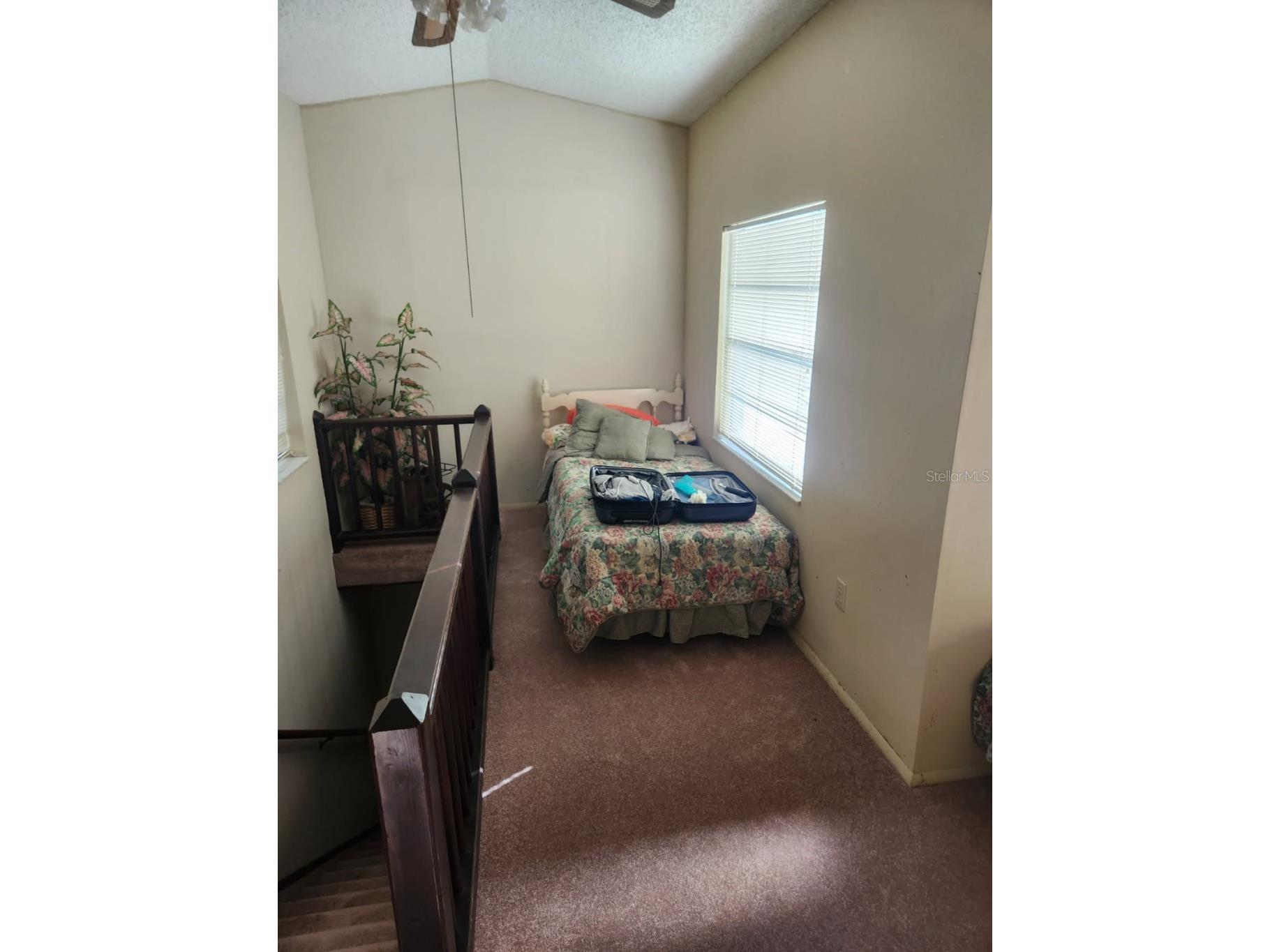 9428 Cat Track Trail Lake Wales FL 33898 TB8479338 image10