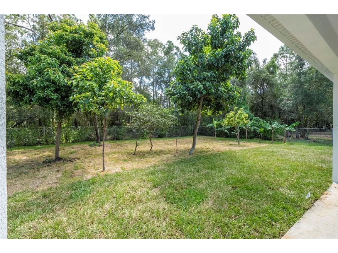 9429 Allestrasse Lane Orlando FL 32824 O6338732 image24