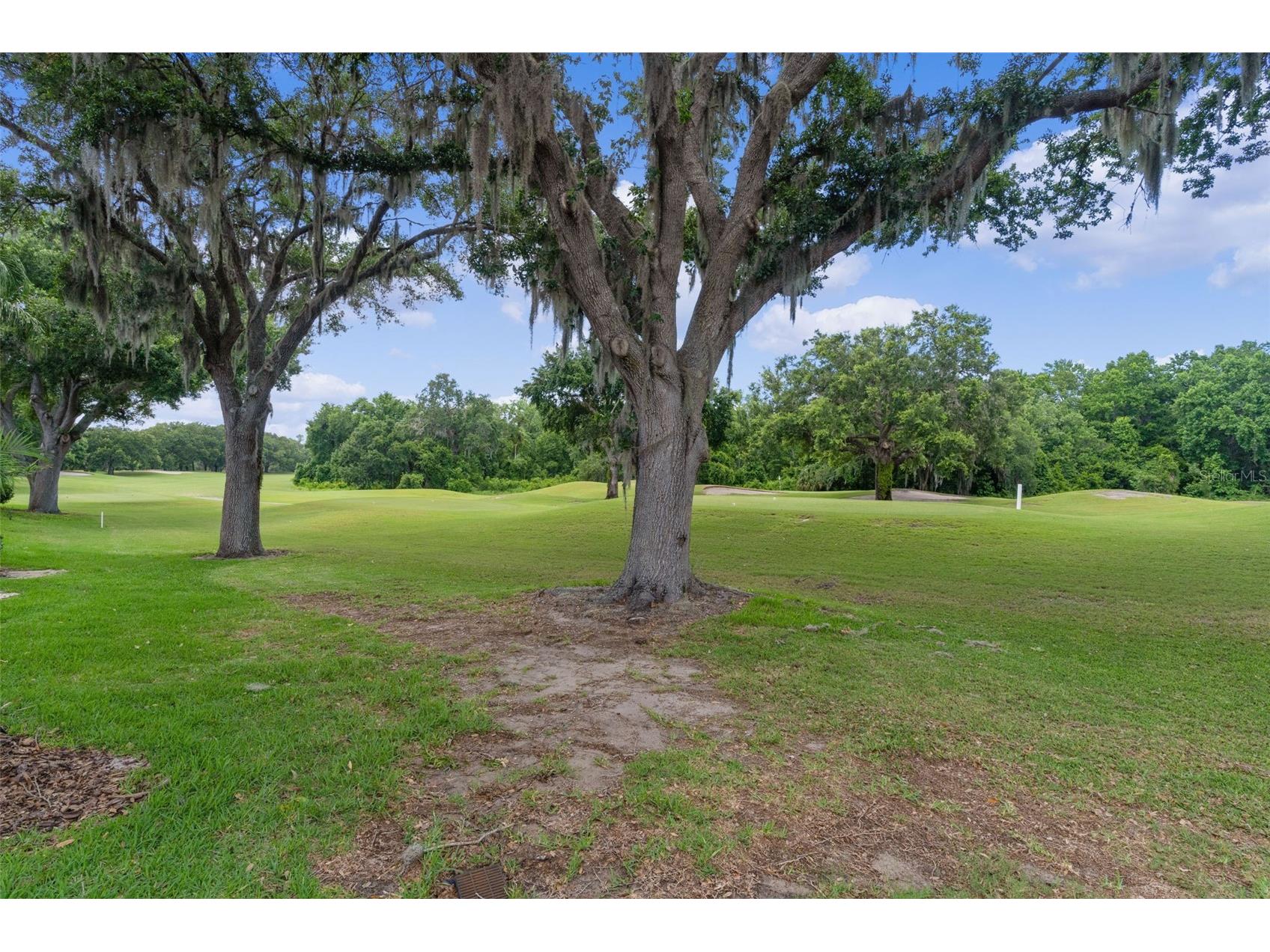 9429 San Miguel Howey In The Hills FL 34737 G5112951 image46