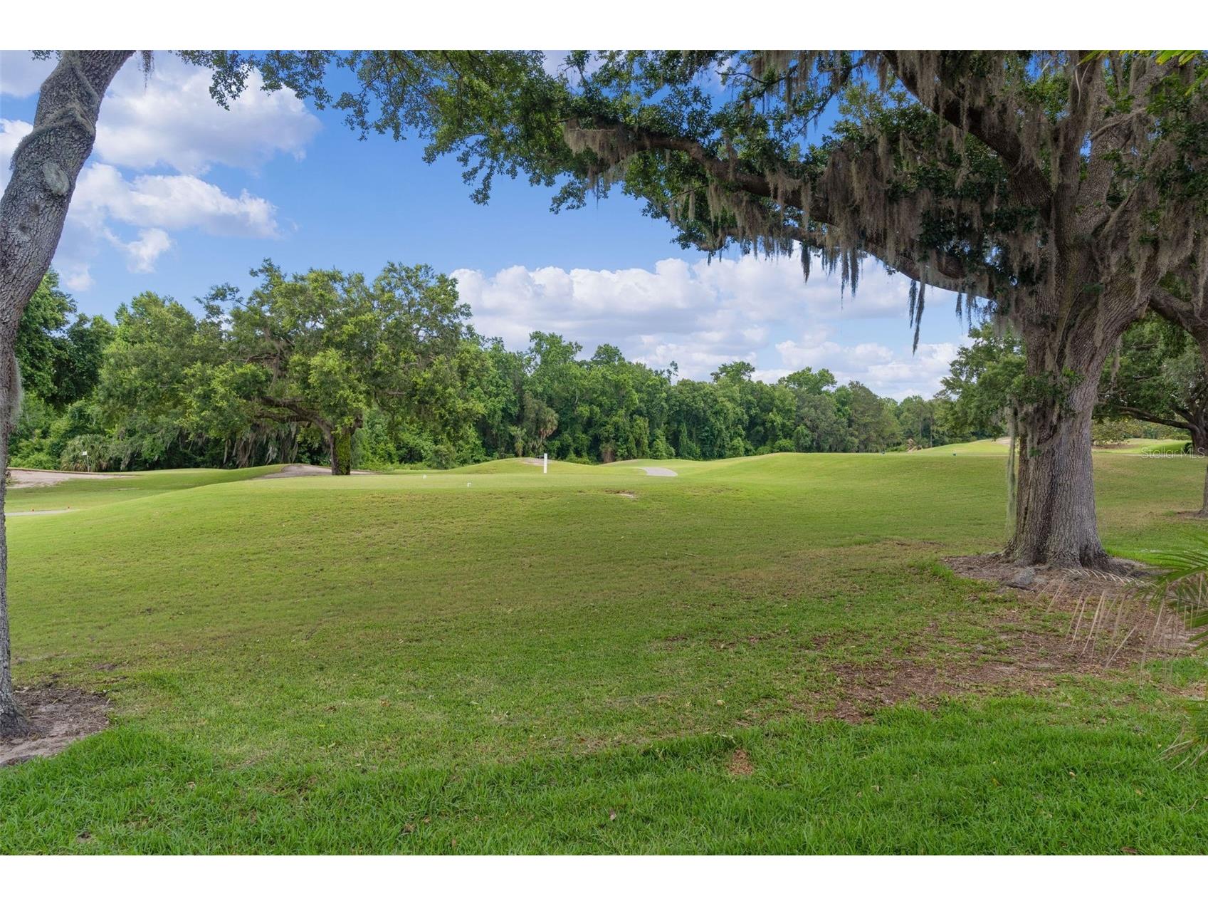 9429 San Miguel Howey In The Hills FL 34737 G5112951 image47