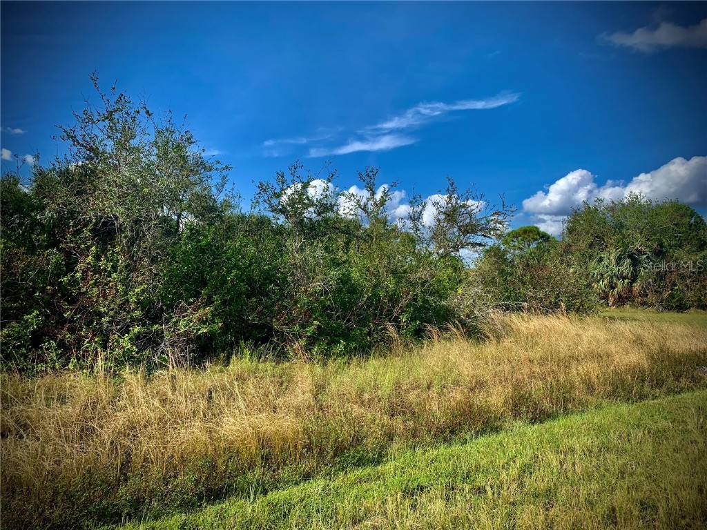 9429 Spring Circle Port Charlotte FL 33981 D6143779 image3