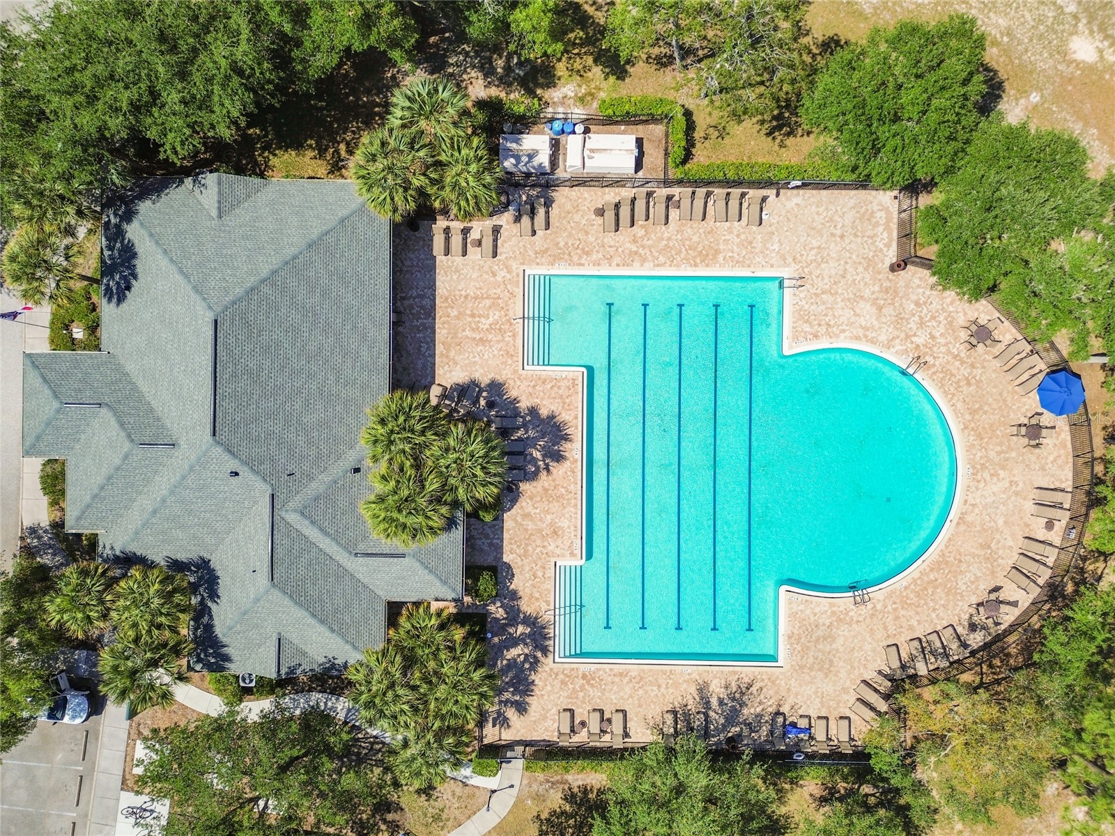 943 Old Windsor Way Spring Hill FL 34609 TB8519128 image72