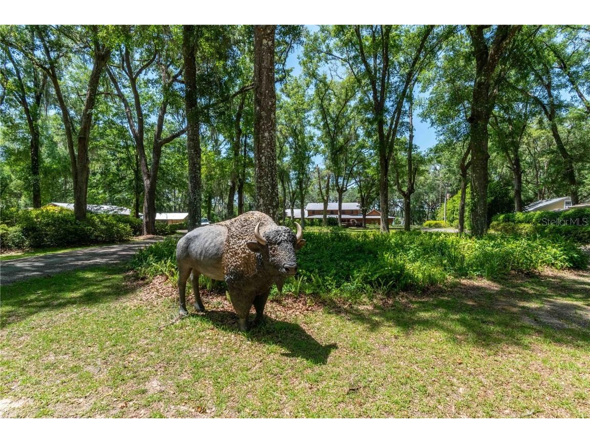 943 S County Road 21 Hawthorne FL 32640 OM701436 image6