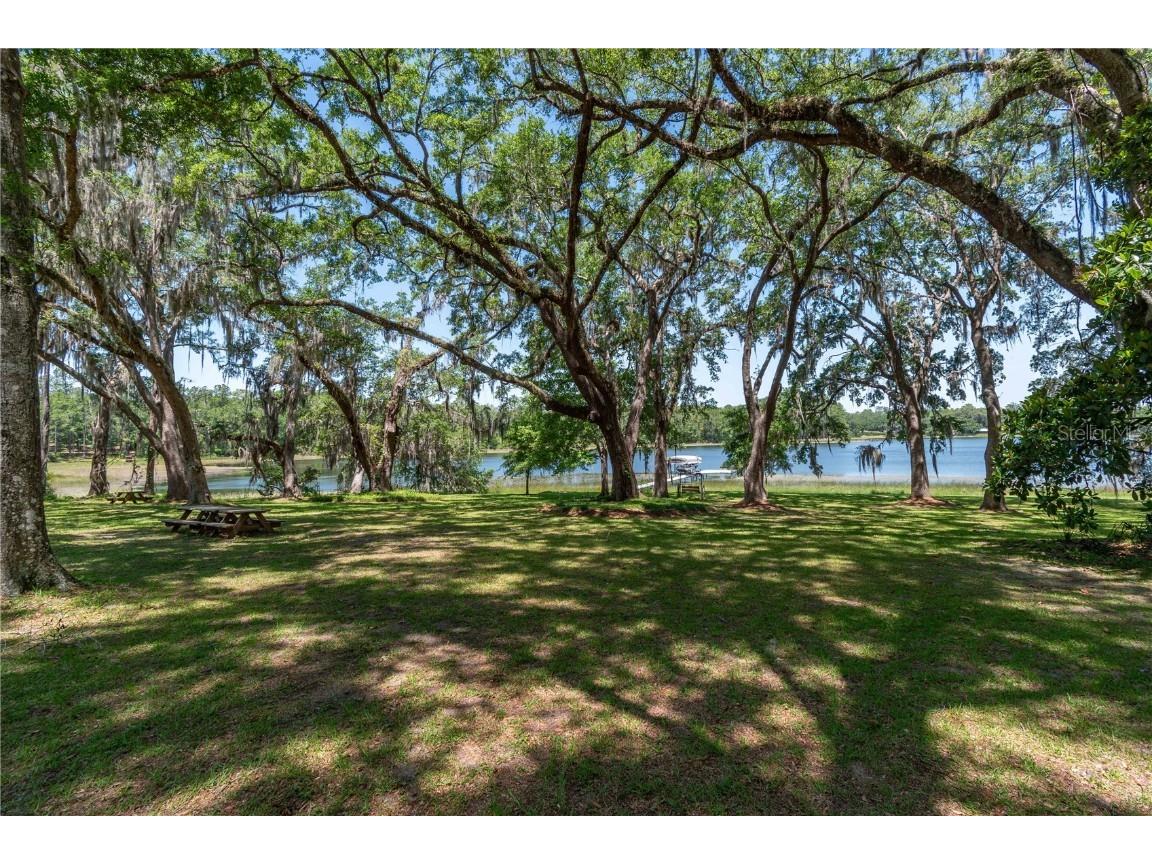 943 S County Road 21 Hawthorne FL 32640 OM701436 image64