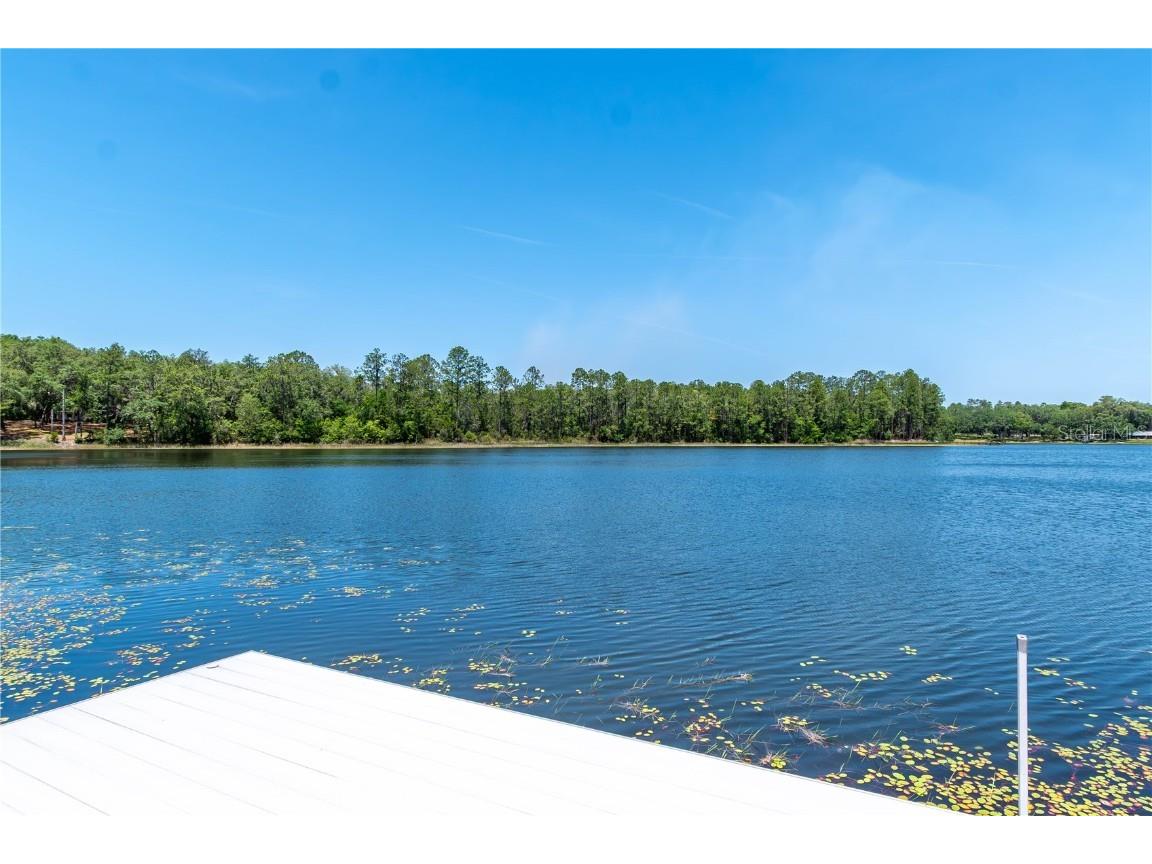 943 S County Road 21 Hawthorne FL 32640 OM701436 image72