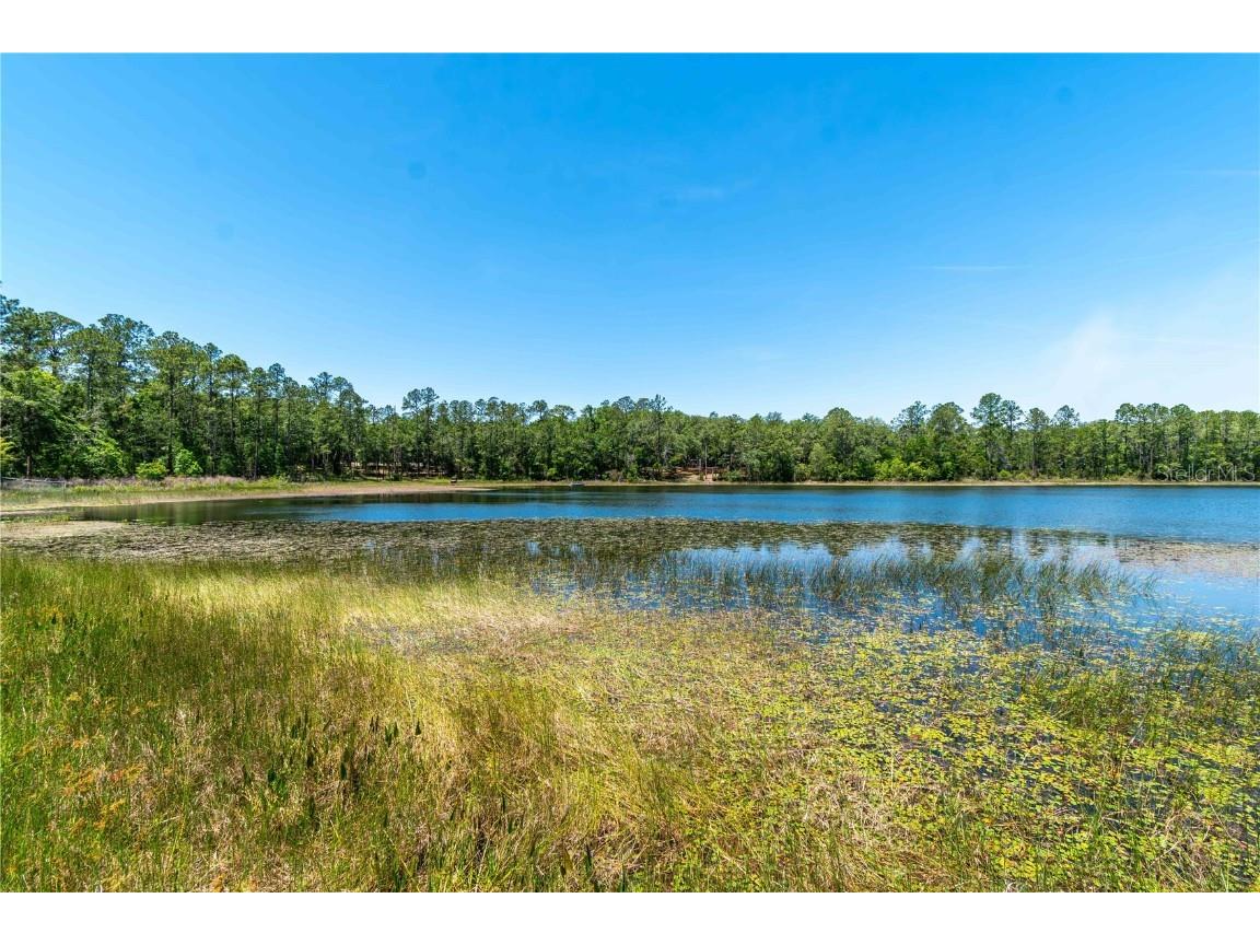 943 S County Road 21 Hawthorne FL 32640 OM701436 image75