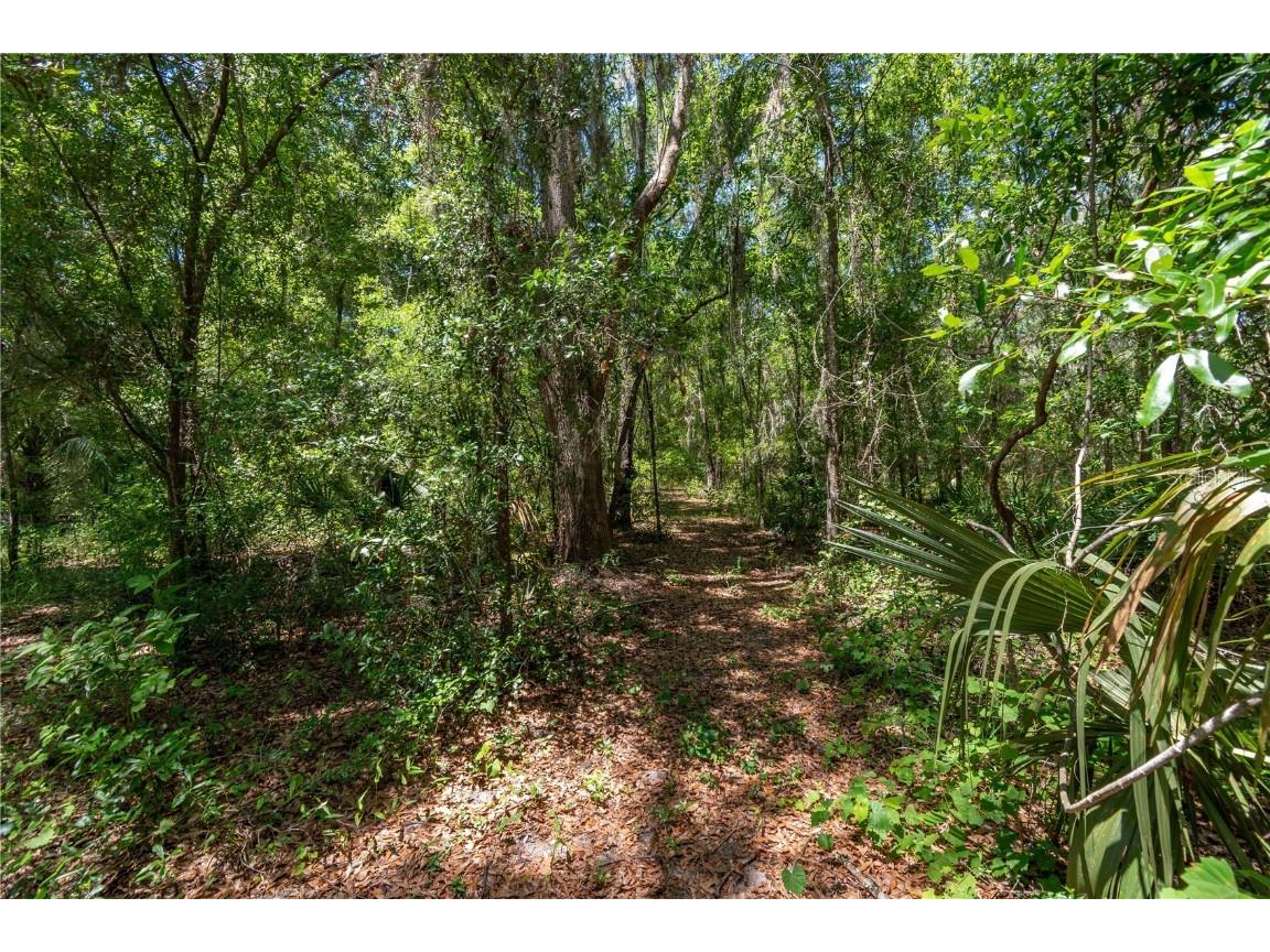 943 S County Road 21 Hawthorne FL 32640 OM701436 image89