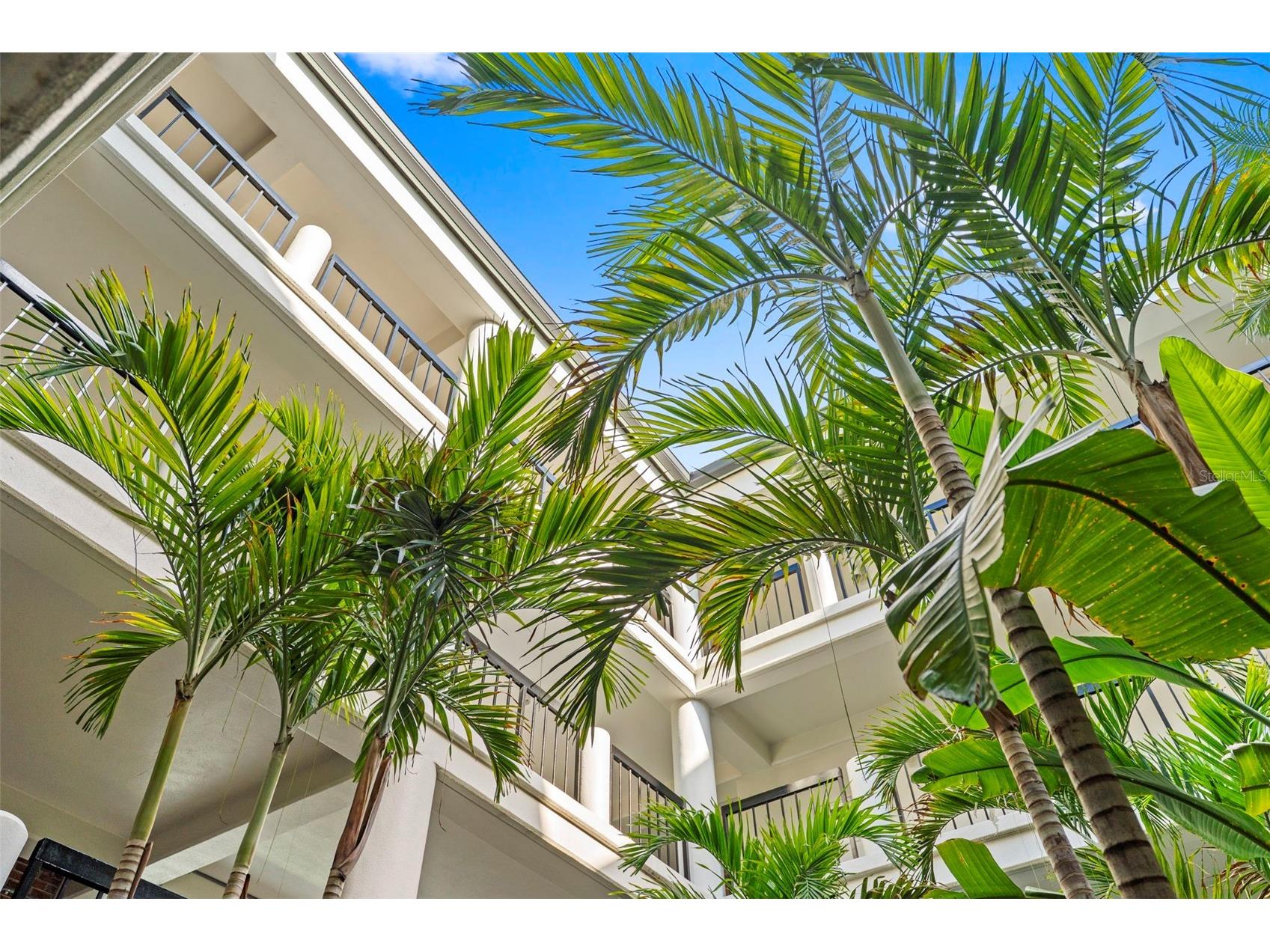 943 Seddon Cove Way #943 Tampa FL 33602 TB8491751 image34