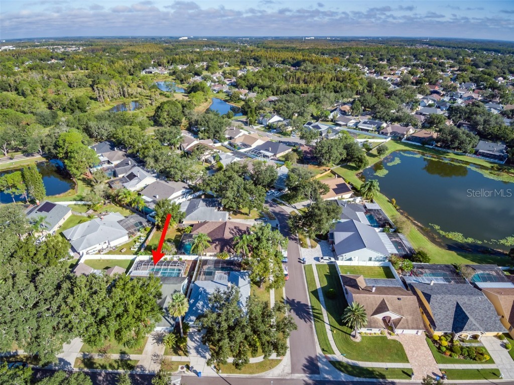 9430 Pebble Glen Avenue Tampa FL 33647 TB8443469 image49