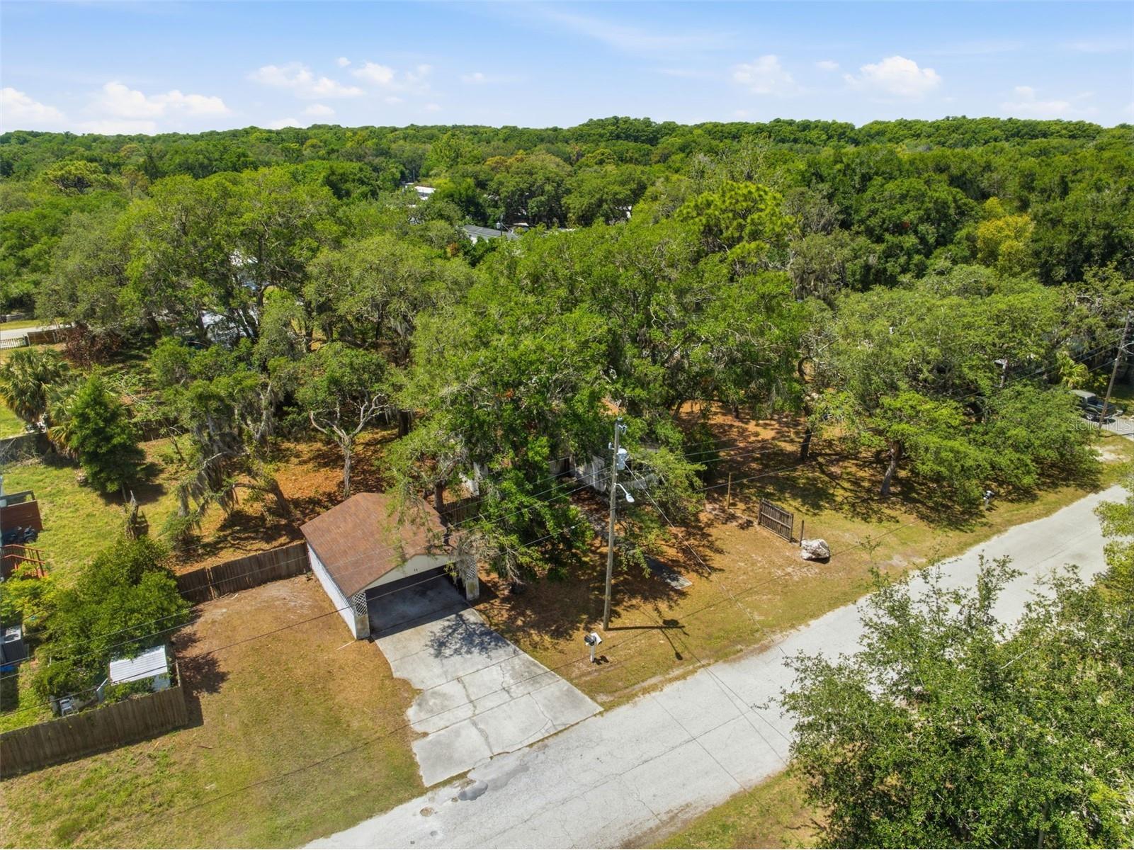 9430 Peony St New Port Richey FL 34654 W7885856 image25