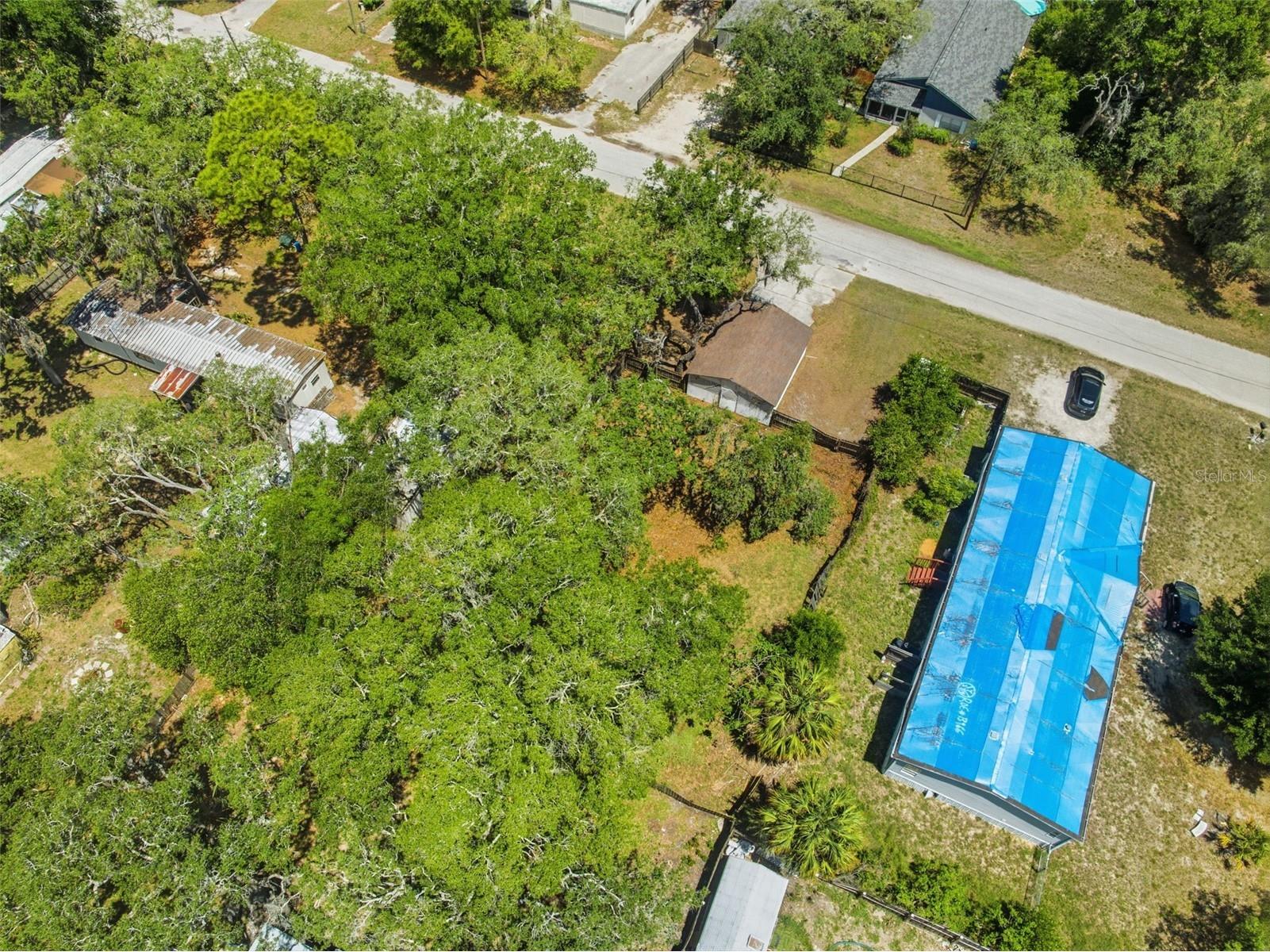 9430 Peony St New Port Richey FL 34654 W7885856 image34
