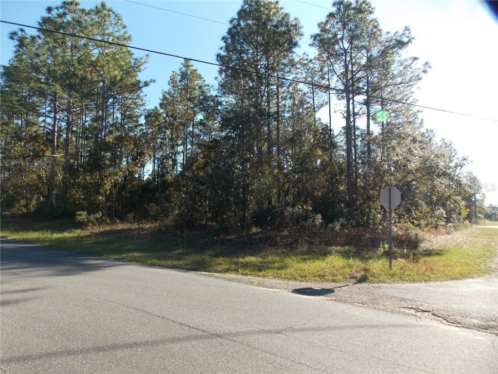 9432 N Cherry Lake Drive Citrus Springs FL 34433 OM689611 image1