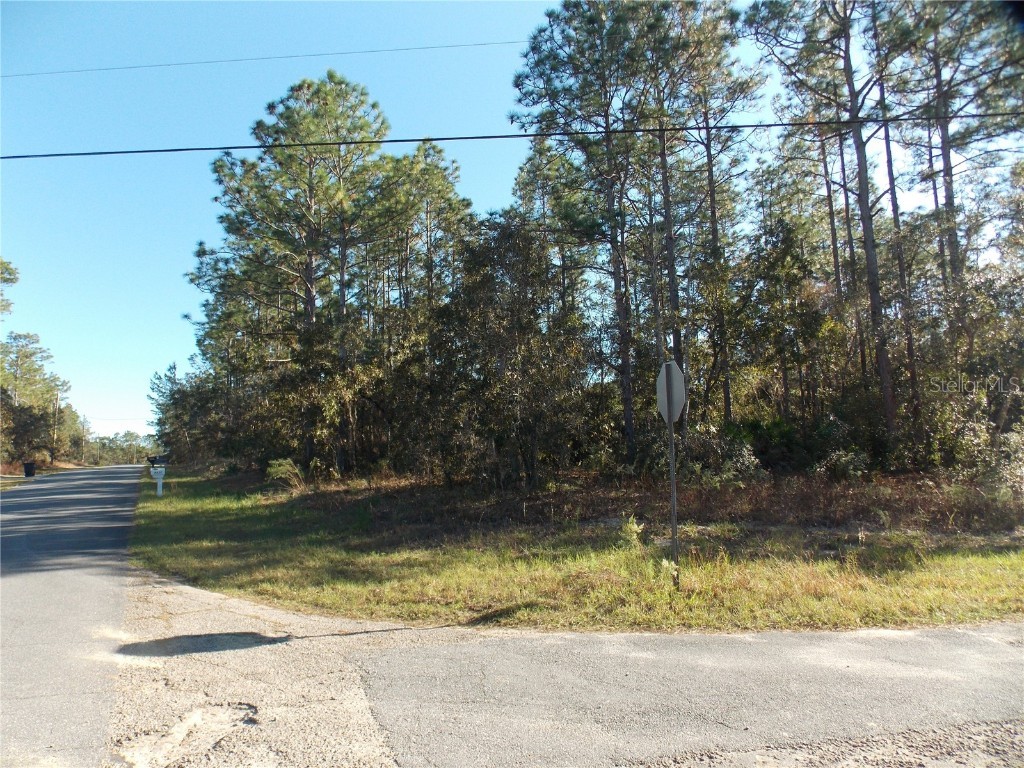 9432 N Cherry Lake Drive Citrus Springs FL 34433 OM689611 image2