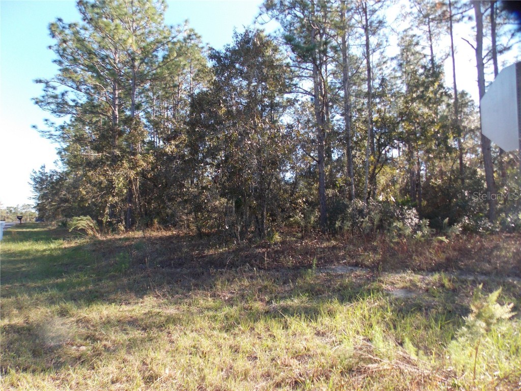 9432 N Cherry Lake Drive Citrus Springs FL 34433 OM689611 image3